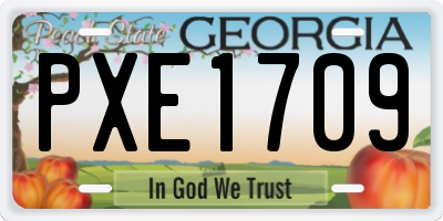 GA license plate PXE1709
