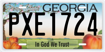 GA license plate PXE1724
