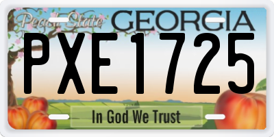 GA license plate PXE1725