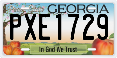 GA license plate PXE1729