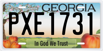 GA license plate PXE1731