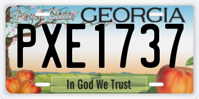 GA license plate PXE1737