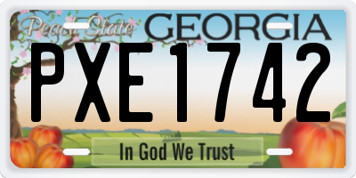 GA license plate PXE1742
