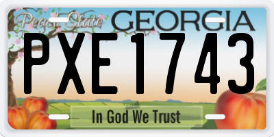 GA license plate PXE1743