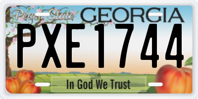 GA license plate PXE1744