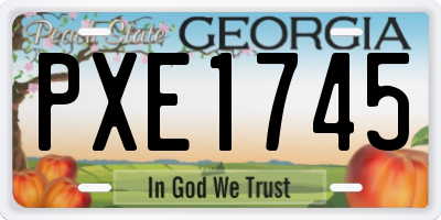 GA license plate PXE1745