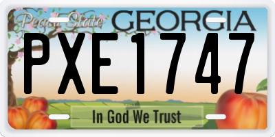 GA license plate PXE1747