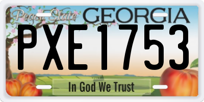 GA license plate PXE1753