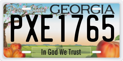 GA license plate PXE1765