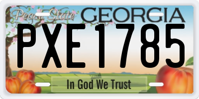 GA license plate PXE1785