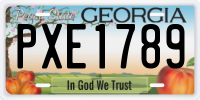 GA license plate PXE1789