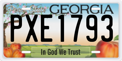 GA license plate PXE1793