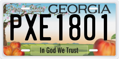 GA license plate PXE1801
