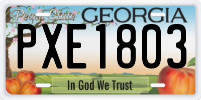GA license plate PXE1803