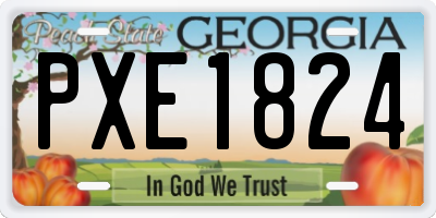 GA license plate PXE1824