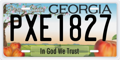 GA license plate PXE1827