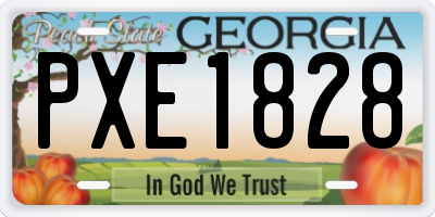 GA license plate PXE1828