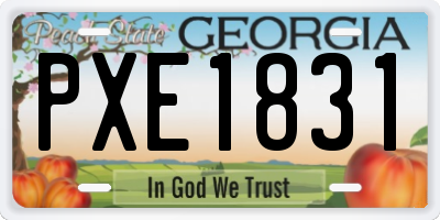 GA license plate PXE1831