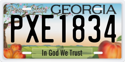 GA license plate PXE1834