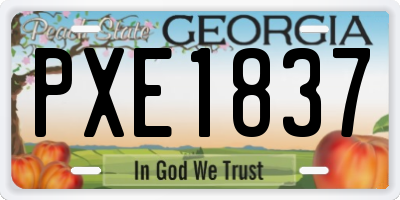 GA license plate PXE1837