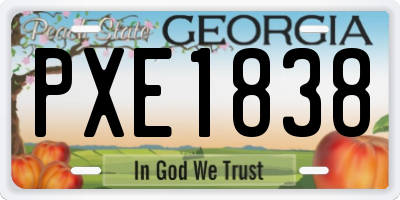 GA license plate PXE1838