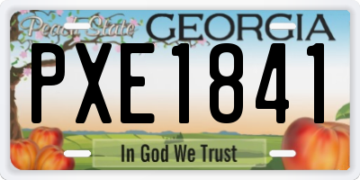 GA license plate PXE1841