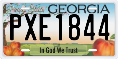 GA license plate PXE1844