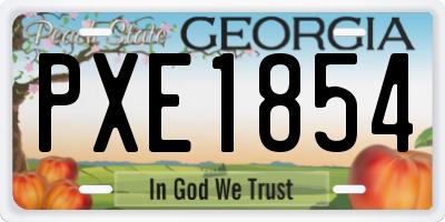 GA license plate PXE1854