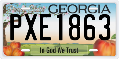 GA license plate PXE1863