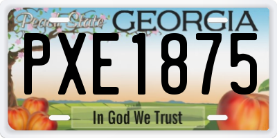 GA license plate PXE1875
