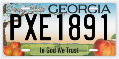GA license plate PXE1891