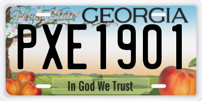 GA license plate PXE1901