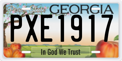 GA license plate PXE1917