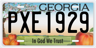 GA license plate PXE1929