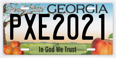 GA license plate PXE2021