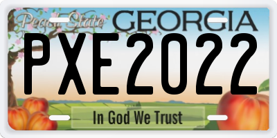 GA license plate PXE2022