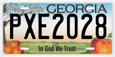 GA license plate PXE2028
