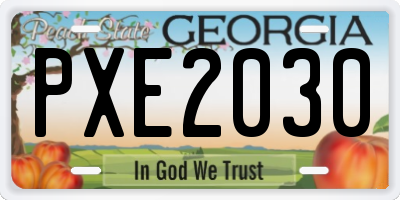 GA license plate PXE2030