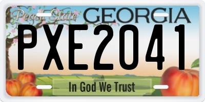 GA license plate PXE2041
