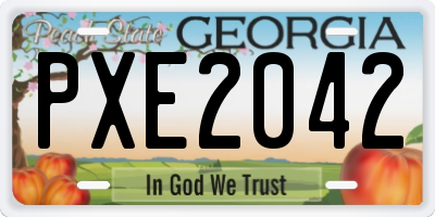 GA license plate PXE2042