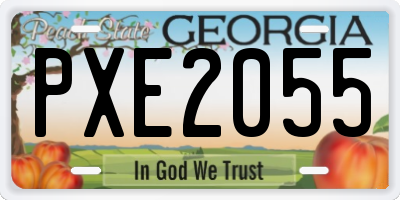 GA license plate PXE2055