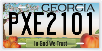 GA license plate PXE2101