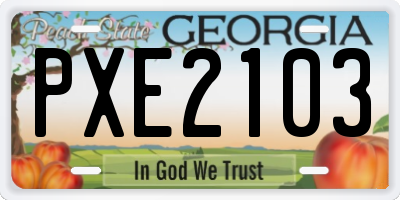GA license plate PXE2103