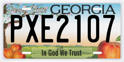 GA license plate PXE2107