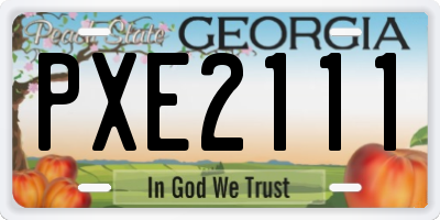 GA license plate PXE2111