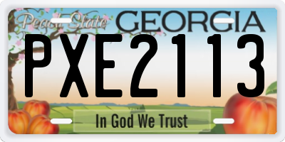 GA license plate PXE2113