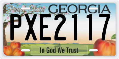 GA license plate PXE2117