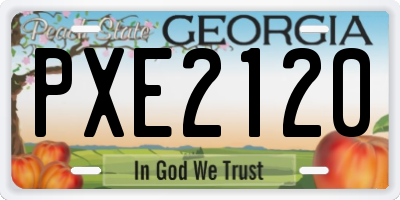 GA license plate PXE2120