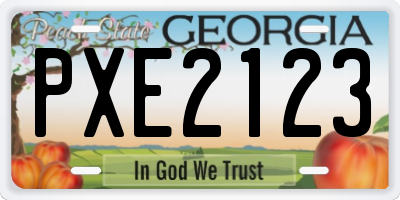 GA license plate PXE2123