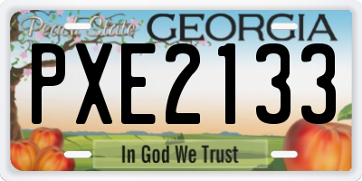 GA license plate PXE2133